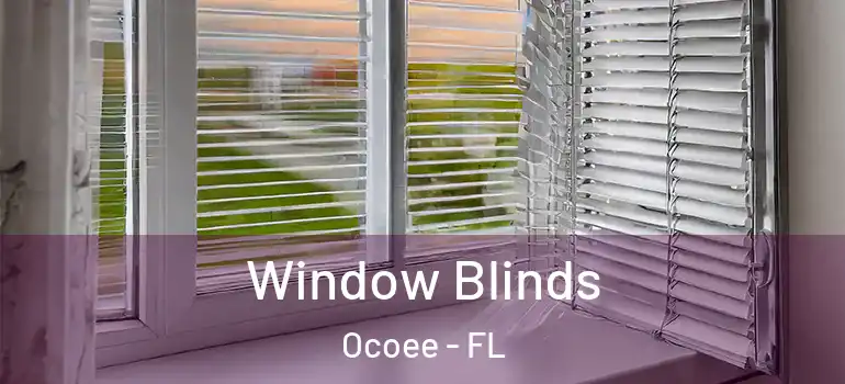  Window Blinds Ocoee - FL
