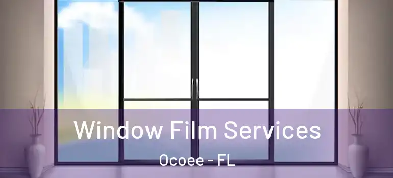  Window Film Services Ocoee - FL
