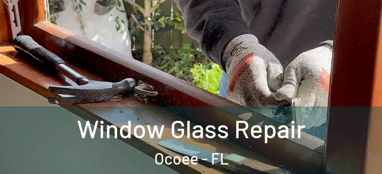  Window Glass Repair Ocoee - FL