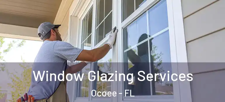  Window Glazing Services Ocoee - FL