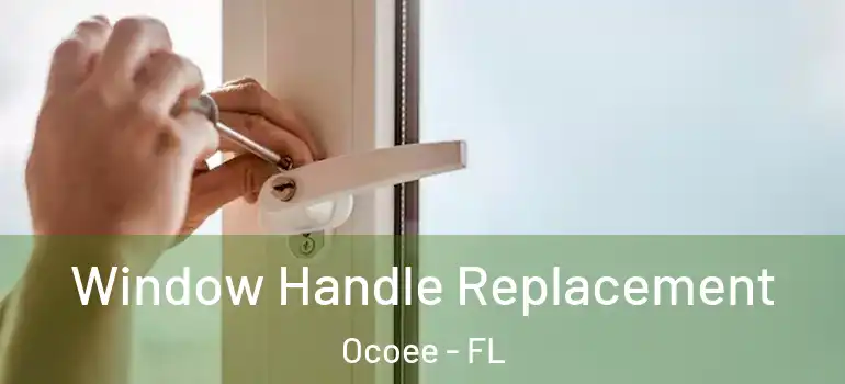  Window Handle Replacement Ocoee - FL