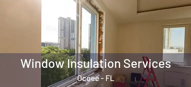  Window Insulation Services Ocoee - FL