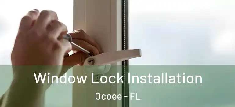  Window Lock Installation Ocoee - FL