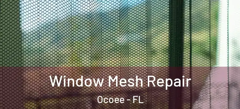  Window Mesh Repair Ocoee - FL