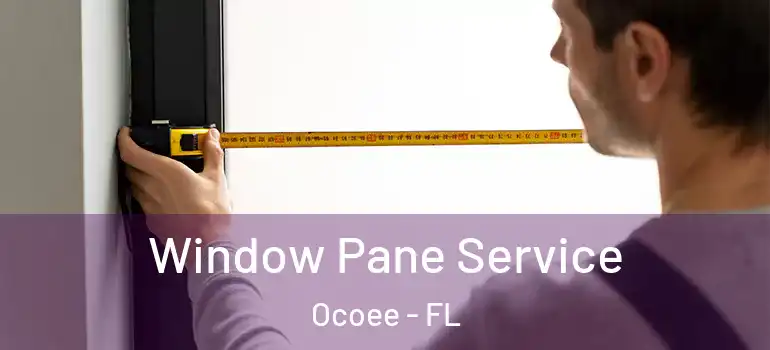  Window Pane Service Ocoee - FL