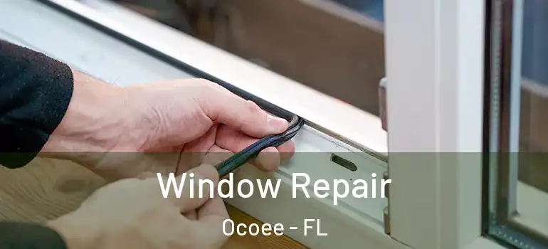  Window Repair Ocoee - FL