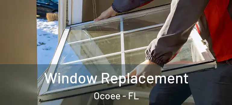  Window Replacement Ocoee - FL
