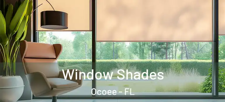  Window Shades Ocoee - FL