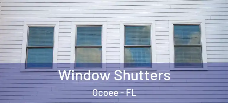 Window Shutters Ocoee - FL