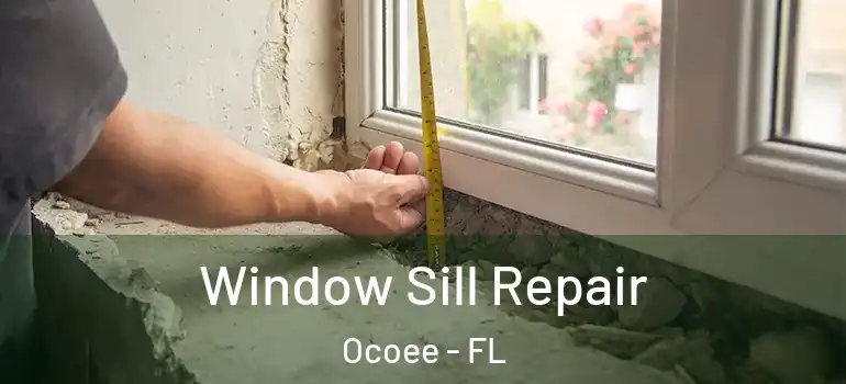  Window Sill Repair Ocoee - FL