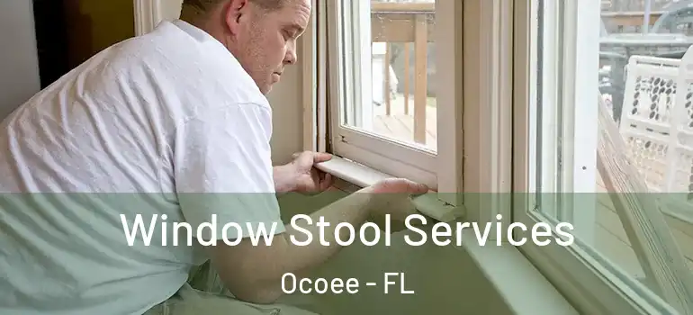  Window Stool Services Ocoee - FL