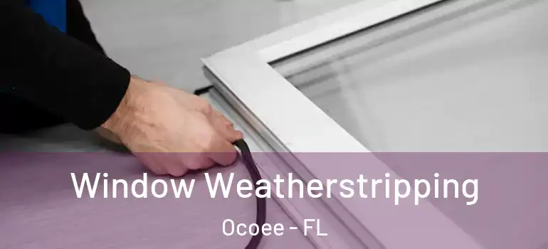  Window Weatherstripping Ocoee - FL
