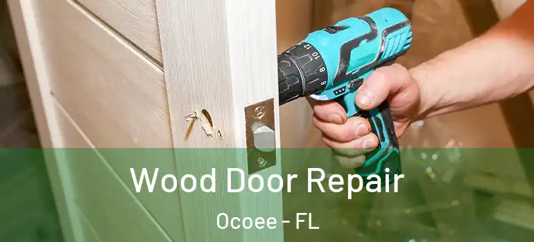  Wood Door Repair Ocoee - FL